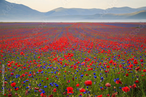 Beautiful summer landscape at Piano Grande (Great Plain) mountain plateau in the Apennine Mountains, Castelluccio di Norcia, Umbria, Italy