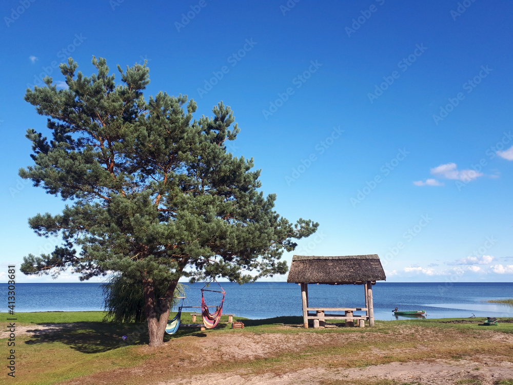 Picnic area on the Baltic Sea coast, two hammocks under a large beautiful pine tree