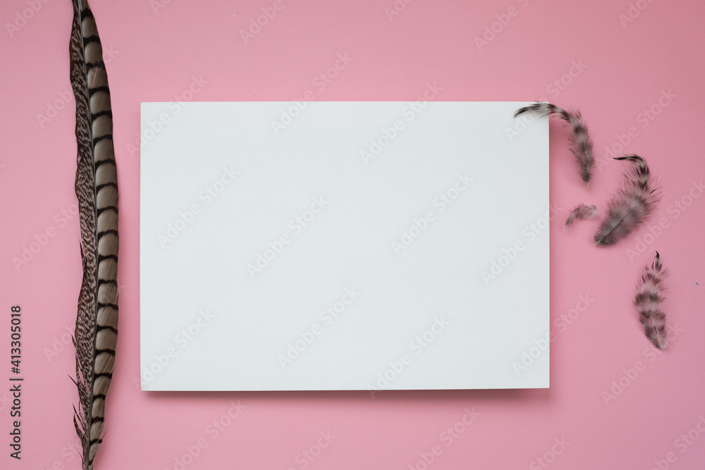 Minimalistic light background in pink tones. A white sheet of paper on a pink background, brown feathers around it. Gentle, fluffy and romantic. Minimalistic light background in pink tones. A white sheet of paper on a pink background, brown feathers around it. Gentle, fluffy and romantic.