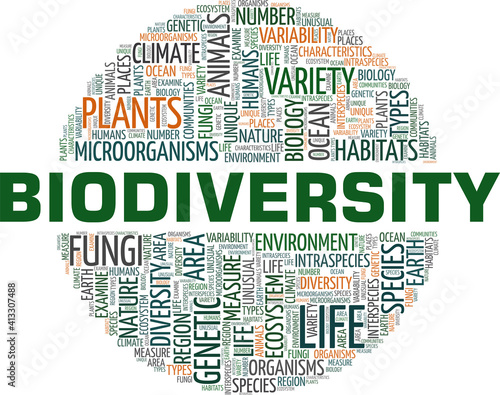 Biodiversity vector illustration word cloud isolated on a white background.