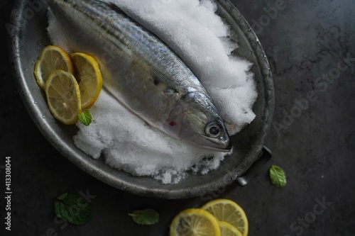 Fresh Mackerel placed on snow, overhead view with copy space