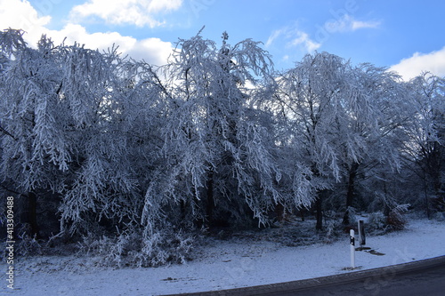 Eisbäume auf der Hohen Acht photo