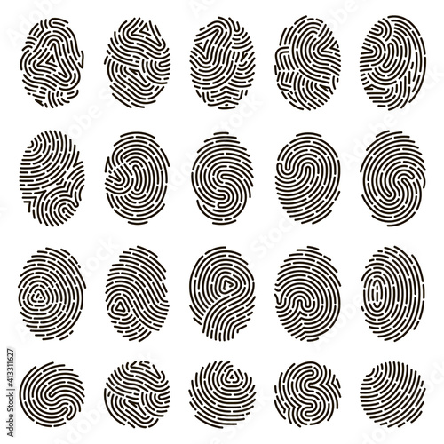Fingerprint identification. Biometric human fingerprints, unique thumb lines imprint. Security fingerprint authentication vector illustration set. Fingerprint imprint pattern collection photo