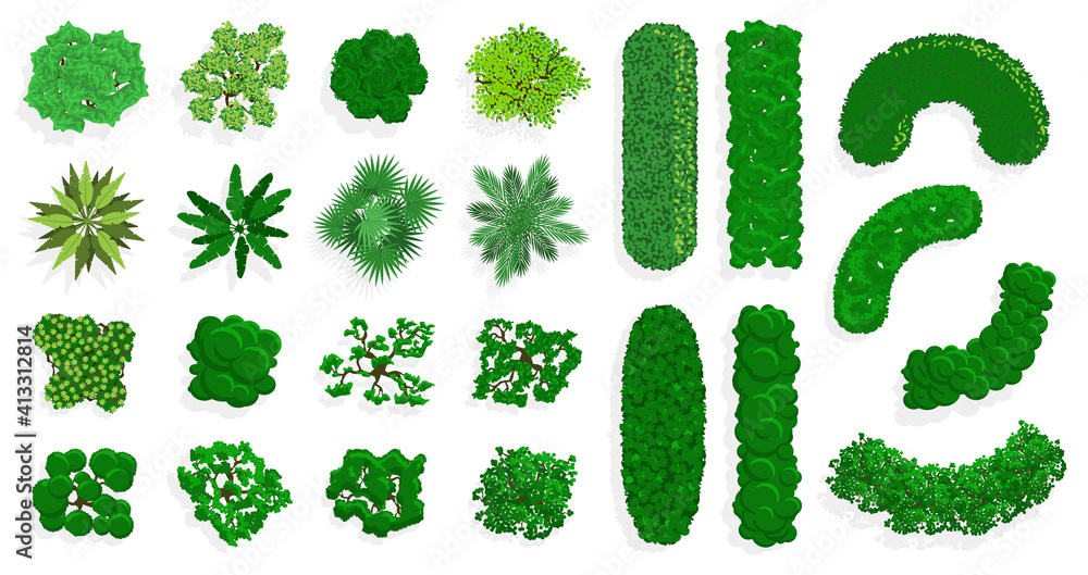 Top view bushes and trees. Green forest or park planting, green fences, bushes and trees view above. Trees top view vector illustration set. Environment above gardening view, landscape isolated green Top view bushes and trees. Green forest or park planting, green fences, bushes and trees view above. Trees top view vector illustration set. Environment above gardening view, landscape isolated green