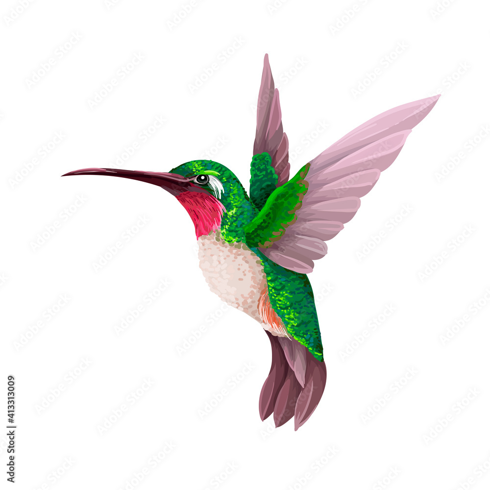 Hummingbird Vector Art & Graphics | freevector.com hummingbird-vector-art-graphics-freevector-com