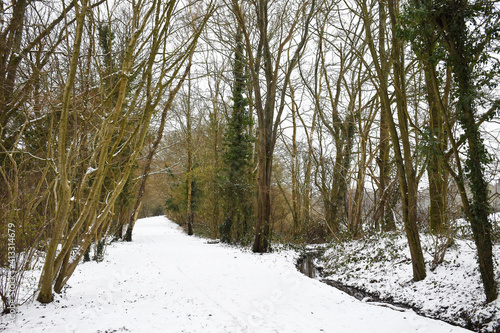 View looking down the snow covered Worth Way near the village of Crawley Down in West Sussex, England, UK. The bridle path passes through rows of trees running beside a stream on a cold winter day.