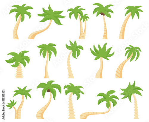 Tropical palms. Green floral palm tree  exotic coconut palm. Exotic hawaiian green palm tree isolated vector illustration set. Tree palm floral  summer exotic tropical plant