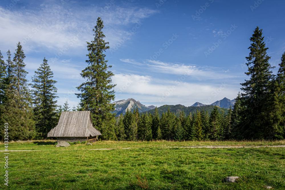Sunny glade - Rusinowa Polana, Tatra Mountains, Poland