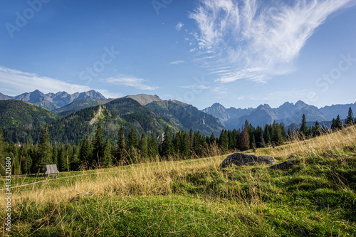 Fototapeta Naklejka Na Ścianę i Meble -  Sunny glade - Rusinowa Polana, Tatra Mountains, Poland