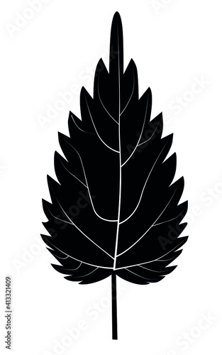 Black nettle leaf silhouette on white background