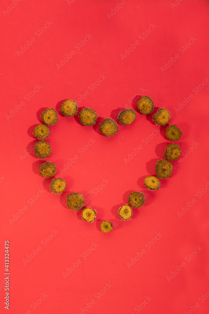 Heart of daisies without petals on a red background. Yellow heart of flowers for valentine's day Heart of daisies without petals on a red background. Yellow heart of flowers for valentine's day
