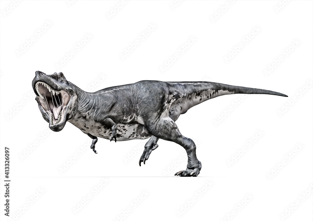 T-Rex, Tyrannosaurus rex, roar to front, 3D-Rendering T-Rex, Tyrannosaurus rex, roar to front, 3D-Rendering