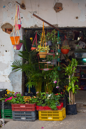 flowers in the market