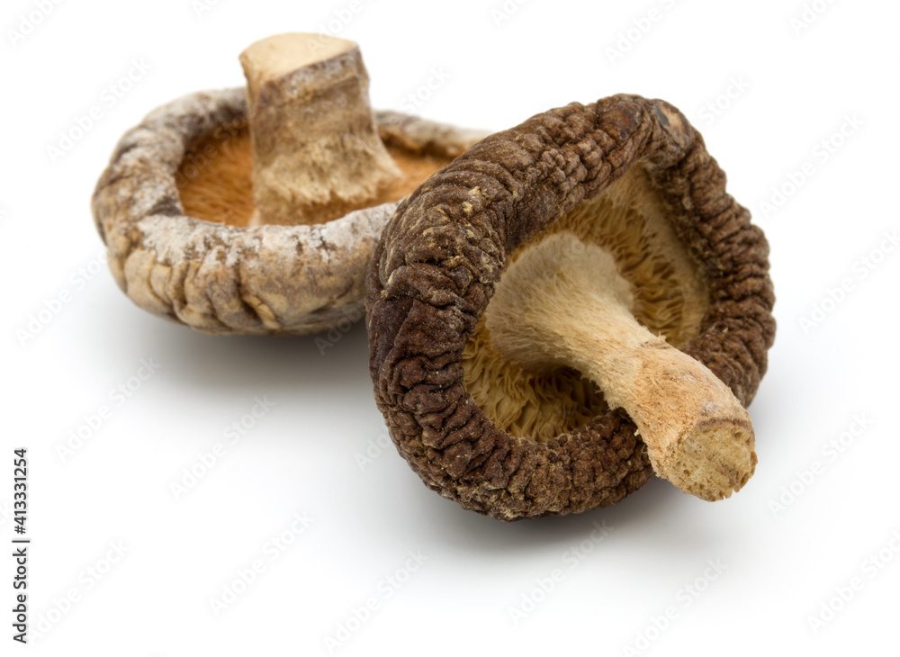 Dried Shiitake Mushroom isolated on white background Dried Shiitake Mushroom isolated on white background