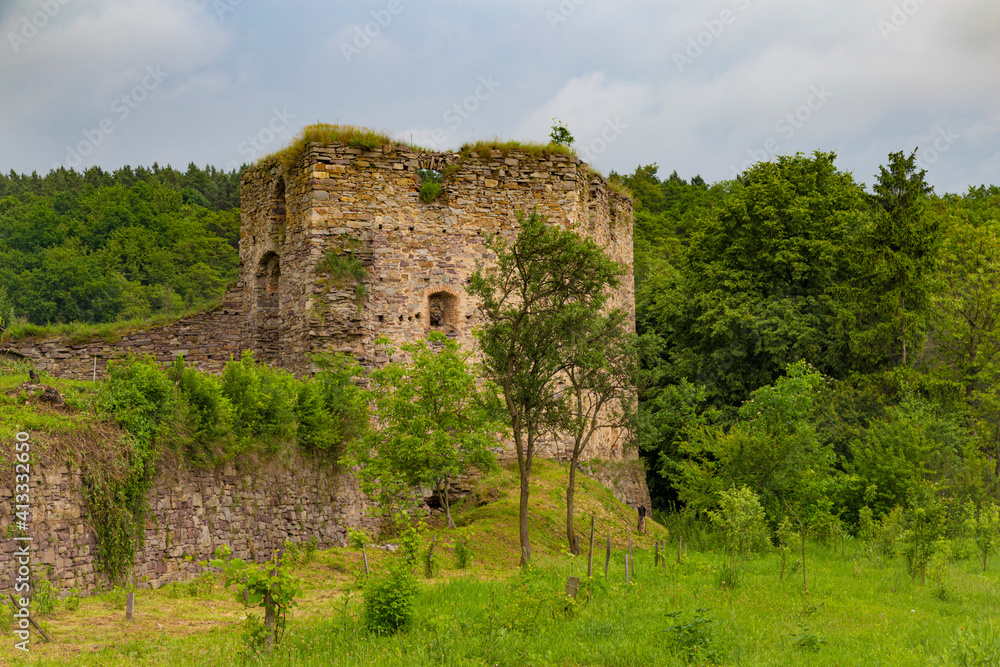 Ancient ruined castle in green forest.