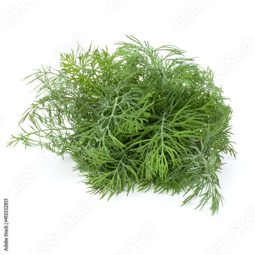 fresh green dill herb leaves bunch isolated on white background cutout