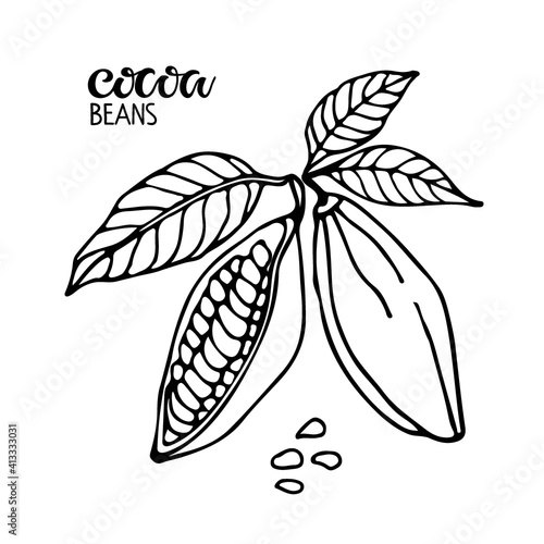 Vector handwritten Cocoa beans lettering and Cocoa beans with leaves sketch on white background. Doodle Outline illustration for cafe, shop, menu. Organic food sketch. For label, logo, emblem, symbol.