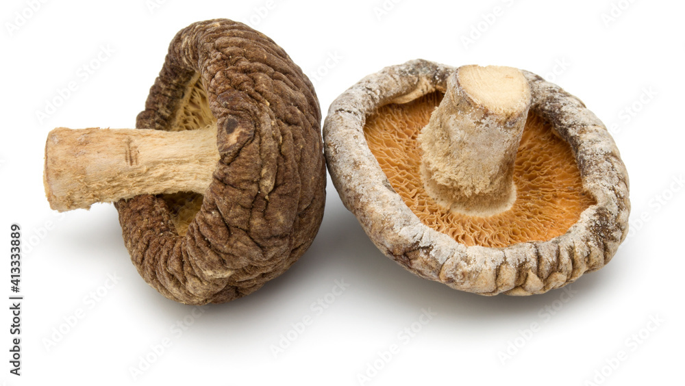 Dried Shiitake Mushroom isolated on white background Dried Shiitake Mushroom isolated on white background