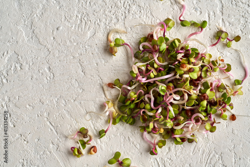 Fresh radish sprouts on a white background, top view with copy space