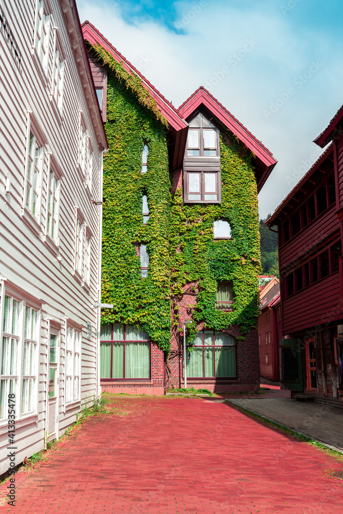 old houses covered with ivy leaves old houses covered with ivy leaves