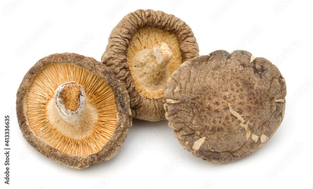 Dried Shiitake Mushroom isolated on white background Dried Shiitake Mushroom isolated on white background