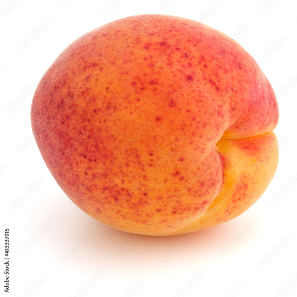 One apricot isolated on white background cutout One apricot isolated on white background cutout