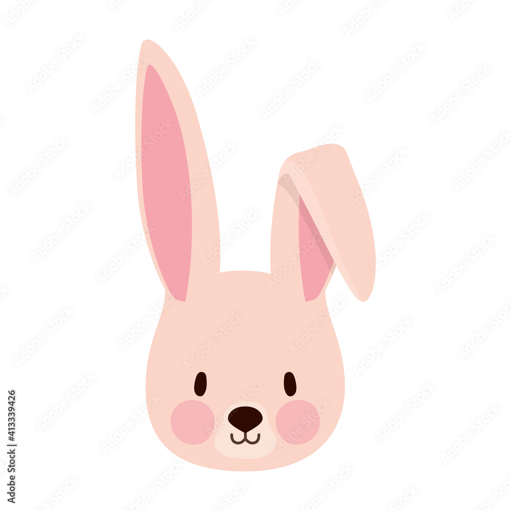 rabbit over a white background rabbit over a white background