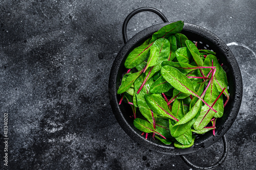 Fresh green chard mangold leaves in colander. Black background. Top view. Copy space