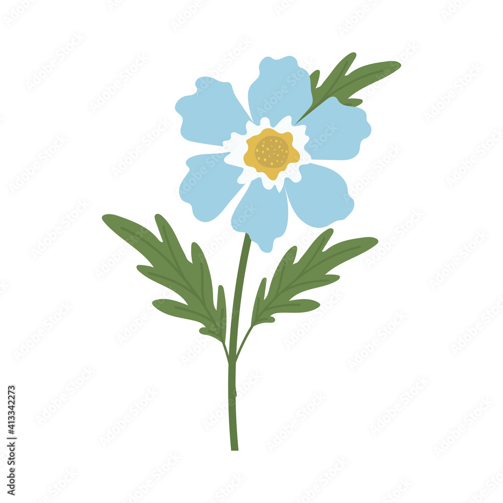 Fototapeta premium sunflower with a blue color on a white background