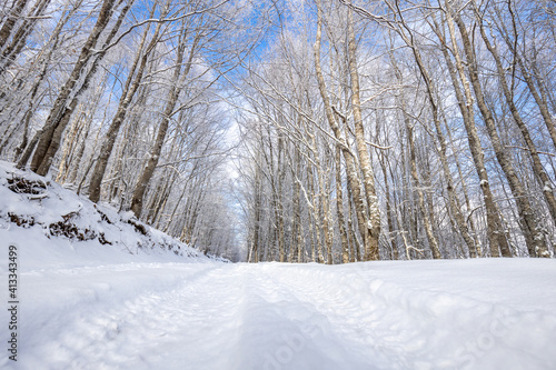 Snow Covered Winter Pathway © stoimilov
