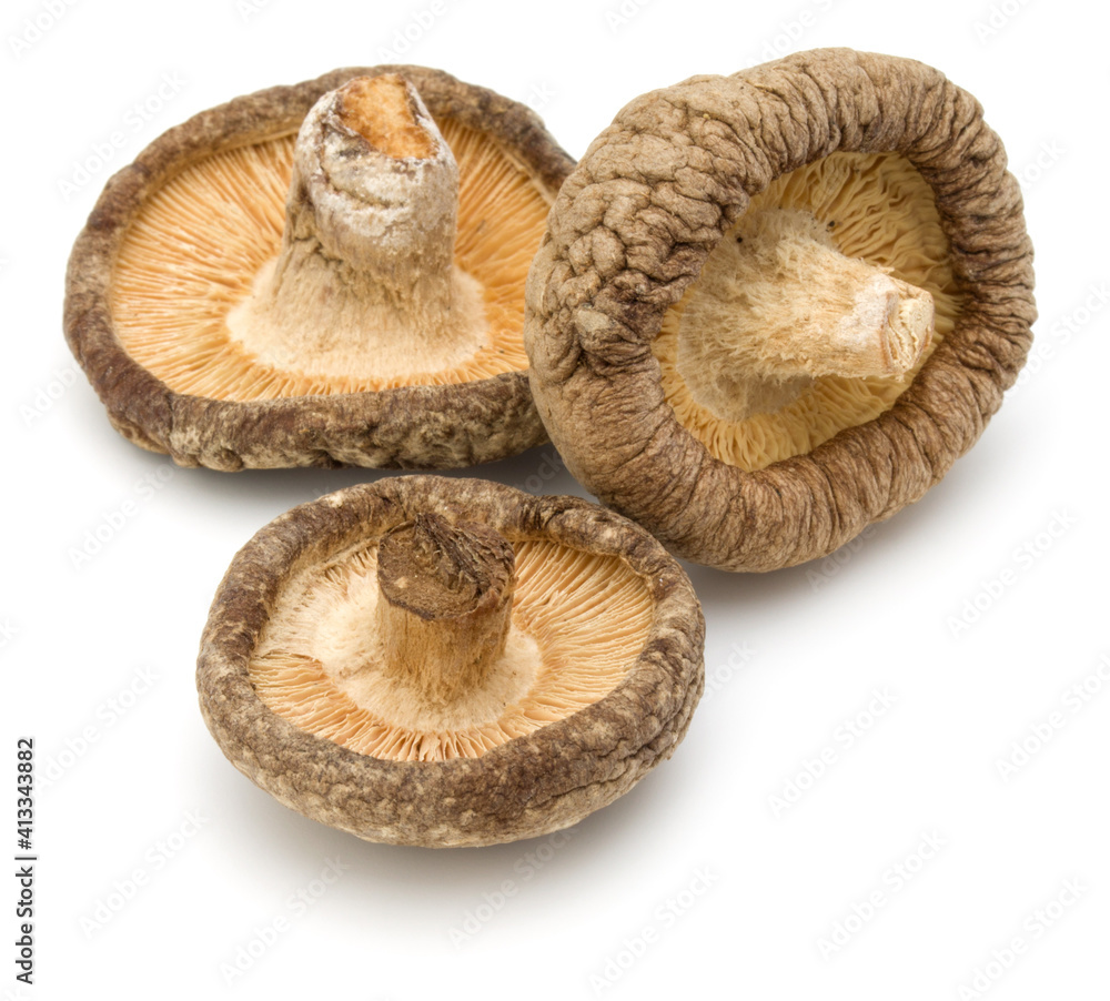 Dried Shiitake Mushroom isolated on white background Dried Shiitake Mushroom isolated on white background