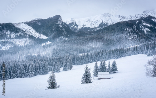 Snowy valley - Kalatówki, Tatra Mountains, Poland