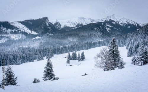 Snowy valley - Kalatówki, Tatra Mountains, Poland © K. Skubala