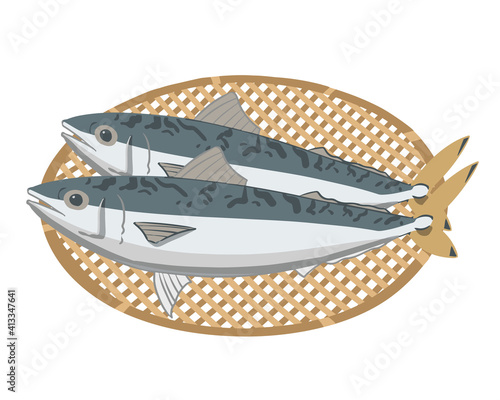 サバ　ざる　線無し