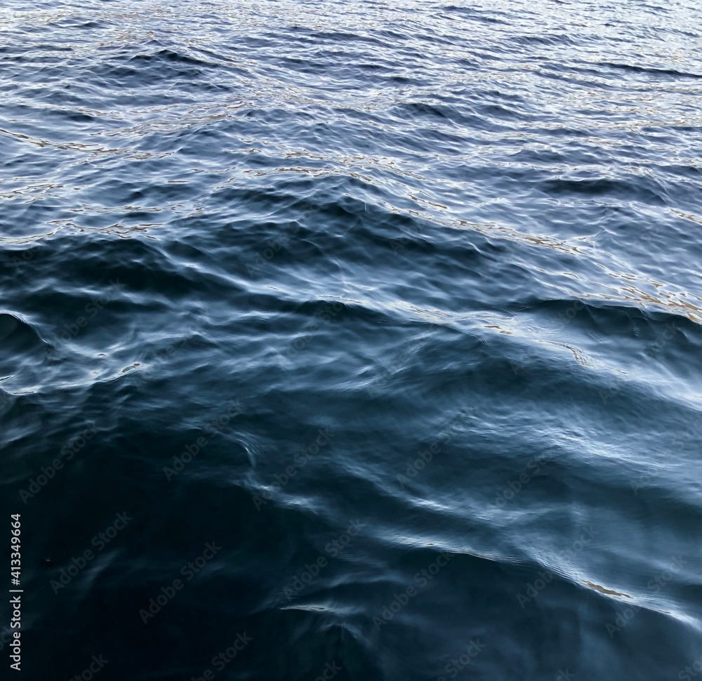 Dark Waters Dark Waters