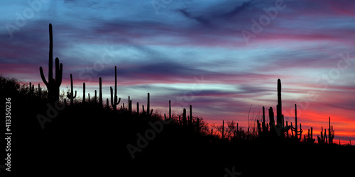 Pink and blue sky in Saguaro National Park