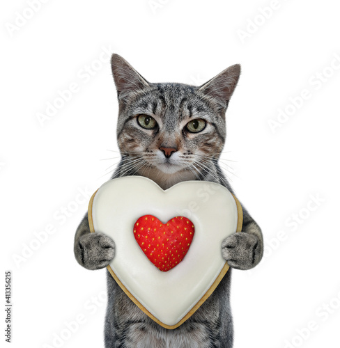 A gray cat holds a heart shaped biscuit with a strawberry. White background. Isolated.