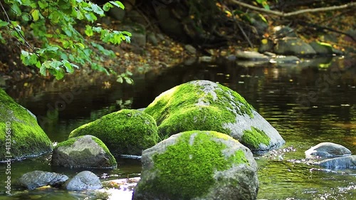 Mossy large stones illuminated by sunlight through the branches of trees. Cinematic relaxing nature scene with shallow depth of focuc and bokeh.  photo