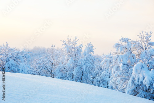 winter landscape on a sunny day. winter nature of the far north. beautiful trees in the snow in the wild  © Петр Смагин