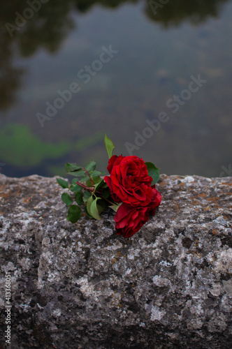 Roses laying on the fence of Roman Bridge