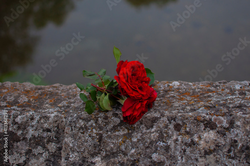 Roses laying on the fence of Roman Bridge