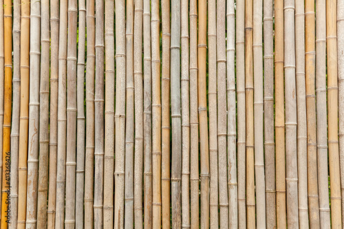 Beautiful exotic bamboo facade  detail.