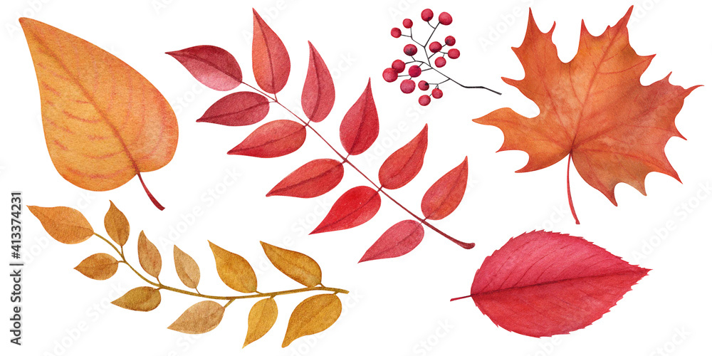 Watercolor Autumn clipart set. Autumn red leafs. Autumn yellow leafs. Watercolor Autumn clipart set. Autumn red leafs. Autumn yellow leafs.