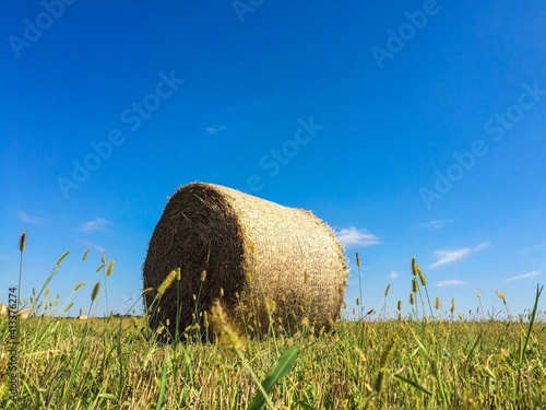 Canvas Print Hay Bales On Field Against Clear Blue Sky