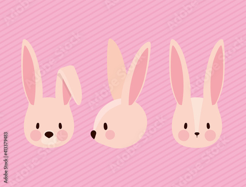 set of cutes pink rabbits