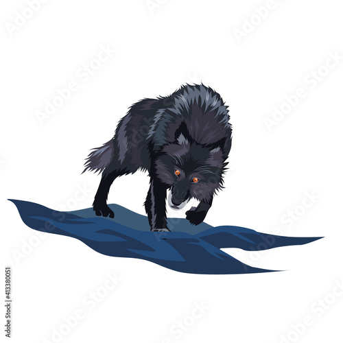 black stunning wolf illustration 