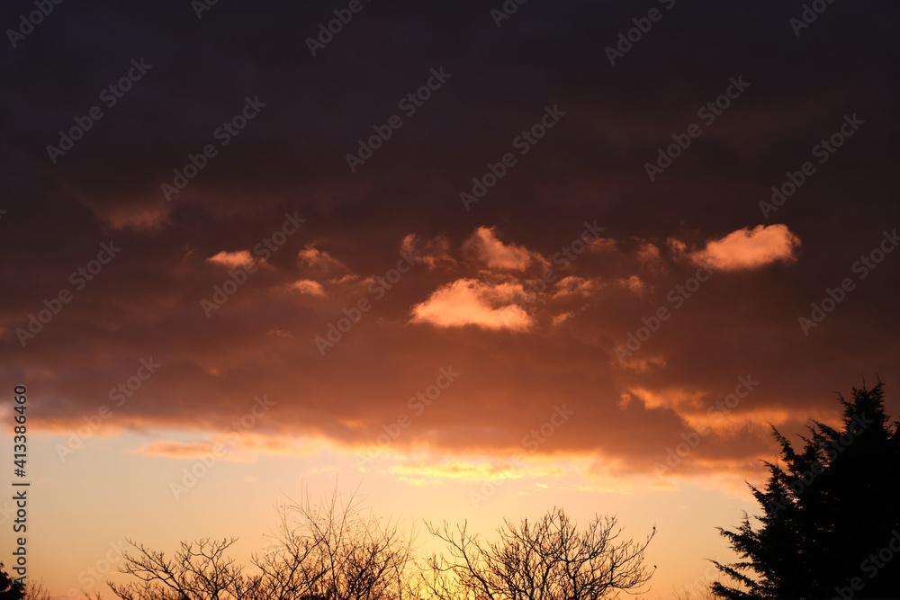 Obraz premium Dramatic stormy clouds at sunset with silhouetted evergreen trees