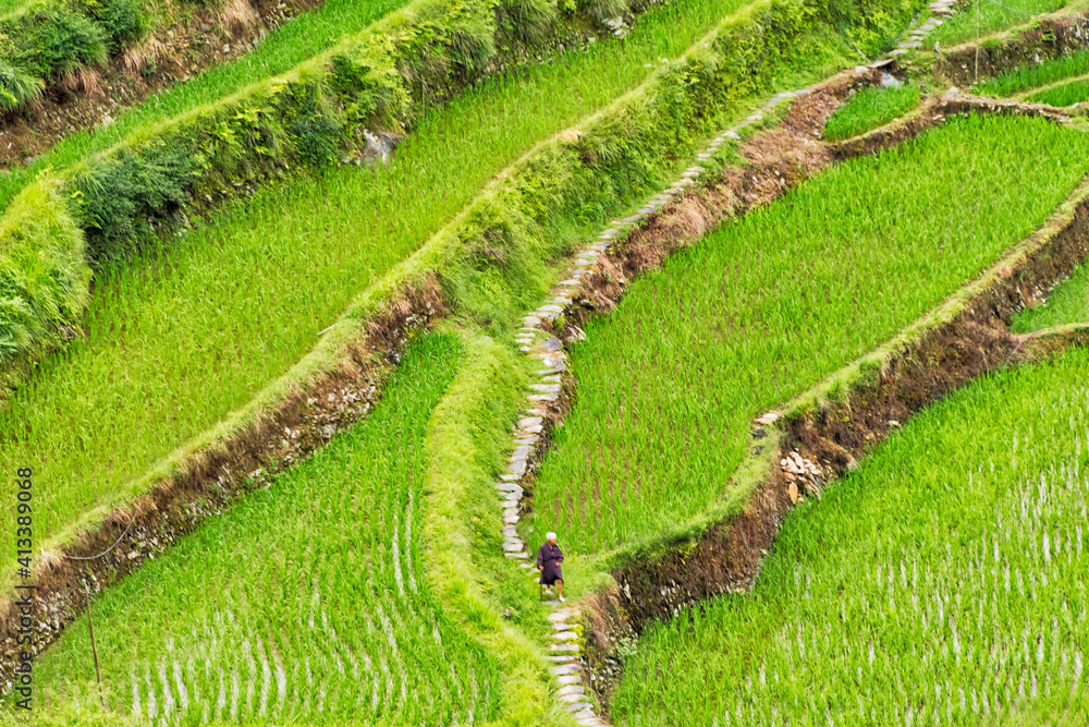 Rice terraces in the mountain, Jiabang, Guizhou Province, China Rice terraces in the mountain, Jiabang, Guizhou Province, China