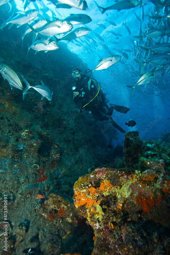 Fototapeta premium World War II Shipwreck-Liberty Cargo Ship, Tulamben, North Bali, Indonesia