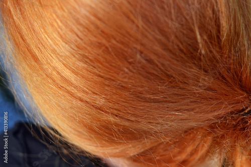 Ginger hair detail, orange hair, nature